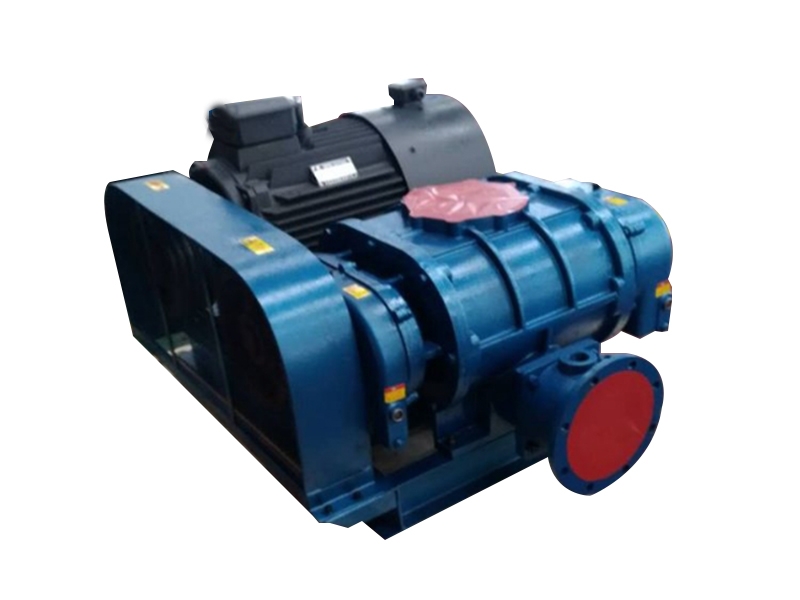 200羅茨風(fēng)機